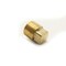 Thrifco Plumbing 1/2 Brass Plug Barstock 5316092 - alternate 5